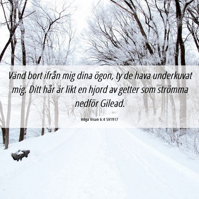 Picture 06 - Höga Visan 6:4 SV1917 - Vänd bort ifrån mig dina ögon, ty de hava - Bible Verse Picture