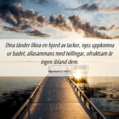 Picture 06 - Höga Visan 6:5 SV1917 - Dina tänder likna en hjord av tackor, nyss - Bible Verse Picture