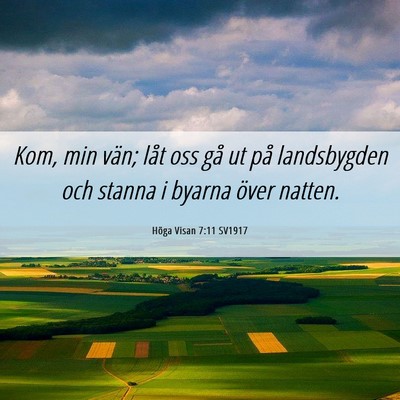Picture 06 - Höga Visan 7:11 SV1917 - Kom, min vän; låt oss gå ut på landsbygden - Bible Verse Picture