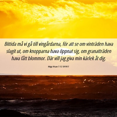 Picture 06 - Höga Visan 7:12 SV1917 - Bittida må vi gå till vingårdarna, för att se - Bible Verse Picture