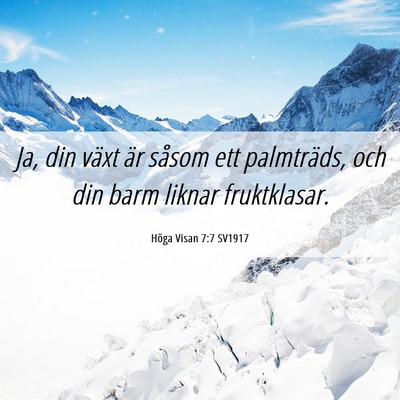 Picture 06 - Höga Visan 7:7 SV1917 - Ja, din växt är såsom ett palmträds, och din - Bible Verse Picture