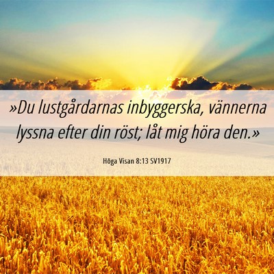 Picture 06 - Höga Visan 8:13 SV1917 - »Du lustgårdarnas inbyggerska, vännerna lyssna - Bible Verse Picture