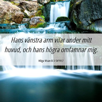 Picture 06 - Höga Visan 8:3 SV1917 - Hans vänstra arm vilar under mitt huvud, och - Bible Verse Picture