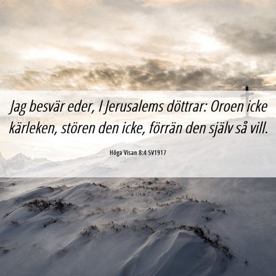 Picture 06 - Höga Visan 8:4 SV1917 - Jag besvär eder, I Jerusalems döttrar: Oroen - Bible Verse Picture