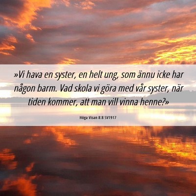 Picture 06 - Höga Visan 8:8 SV1917 - »Vi hava en syster, en helt ung, som ännu icke - Bible Verse Picture