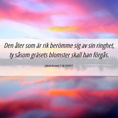 Picture 06 - Jakobsbrevet 1:10 SV1917 - Den åter som är rik berömme sig av sin - Bible Verse Picture