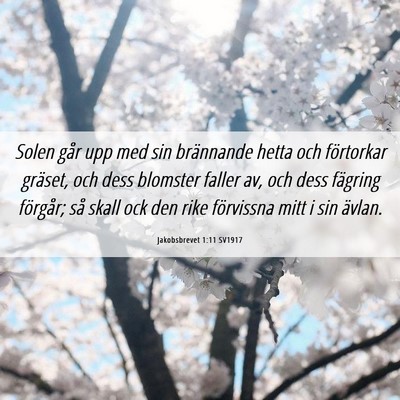 Picture 06 - Jakobsbrevet 1:11 SV1917 - Solen går upp med sin brännande hetta och - Bible Verse Picture
