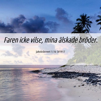 Picture 06 - Jakobsbrevet 1:16 SV1917 - Faren icke vilse, mina älskade - Bible Verse Picture