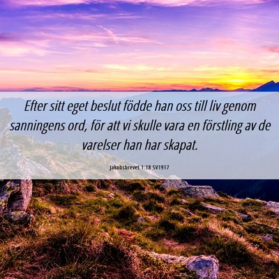 Picture 06 - Jakobsbrevet 1:18 SV1917 - Efter sitt eget beslut födde han oss till liv - Bible Verse Picture