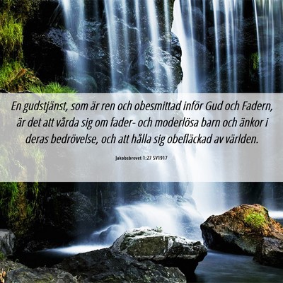 Picture 06 - Jakobsbrevet 1:27 SV1917 - En gudstjänst, som är ren och obesmittad inför - Bible Verse Picture