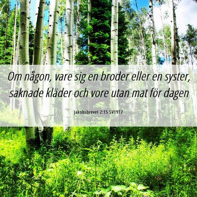 Picture 06 - Jakobsbrevet 2:15 SV1917 - Om någon, vare sig en broder eller en syster, - Bible Verse Picture
