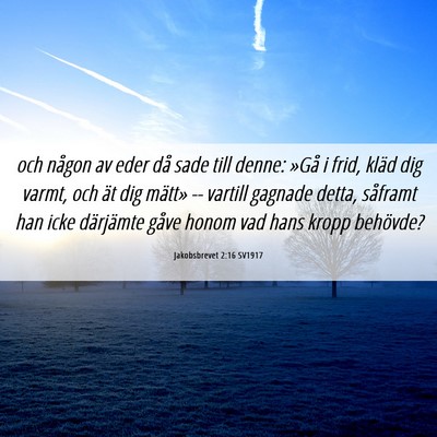 Picture 06 - Jakobsbrevet 2:16 SV1917 - och någon av eder då sade till denne: »Gå i - Bible Verse Picture