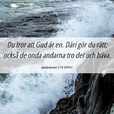 Picture 06 - Jakobsbrevet 2:19 SV1917 - Du tror att Gud är en. Däri gör du rätt; - Bible Verse Picture