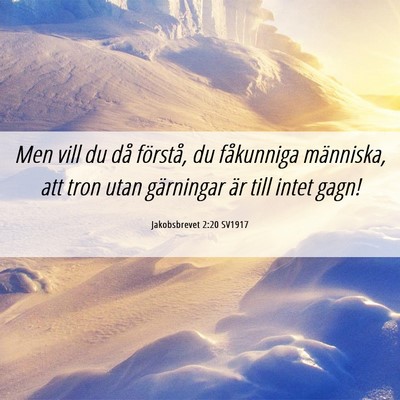 Picture 06 - Jakobsbrevet 2:20 SV1917 - Men vill du då förstå, du fåkunniga - Bible Verse Picture