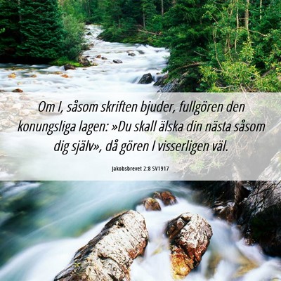 Picture 06 - Jakobsbrevet 2:8 SV1917 - Om I, såsom skriften bjuder, fullgören den - Bible Verse Picture