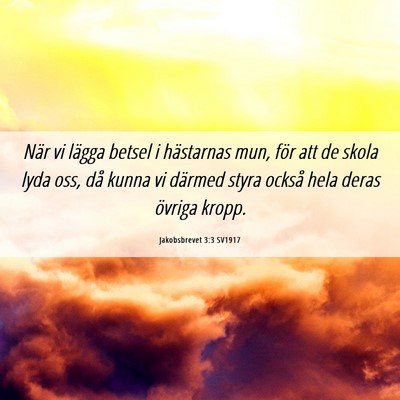 Picture 06 - Jakobsbrevet 3:3 SV1917 - När vi lägga betsel i hästarnas mun, för att - Bible Verse Picture