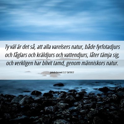 Picture 06 - Jakobsbrevet 3:7 SV1917 - Ty väl är det så, att alla varelsers natur, - Bible Verse Picture