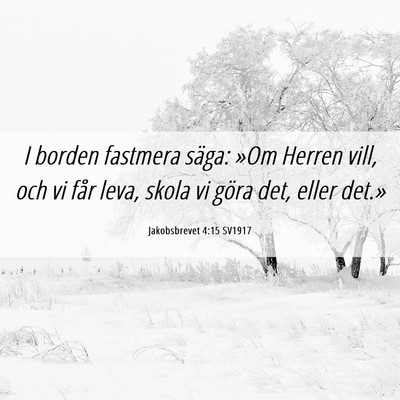 Picture 06 - Jakobsbrevet 4:15 SV1917 - I borden fastmera säga: »Om Herren vill, och vi - Bible Verse Picture