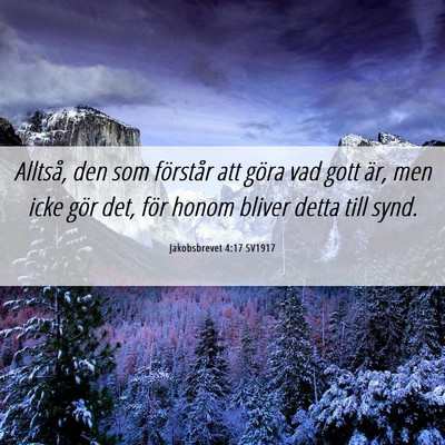 Picture 06 - Jakobsbrevet 4:17 SV1917 - Alltså, den som förstår att göra vad gott - Bible Verse Picture