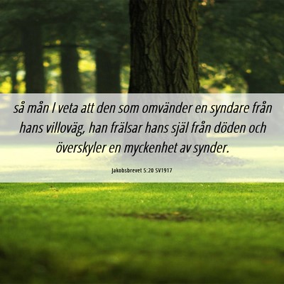 Picture 06 - Jakobsbrevet 5:20 SV1917 - så mån I veta att den som omvänder en syndare - Bible Verse Picture