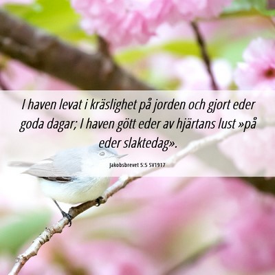 Picture 06 - Jakobsbrevet 5:5 SV1917 - I haven levat i kräslighet på jorden och gjort - Bible Verse Picture