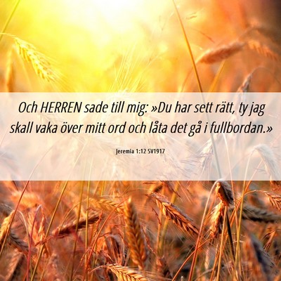 Picture 06 - Jeremia 1:12 SV1917 - Och HERREN sade till mig: »Du har sett rätt, ty - Bible Verse Picture