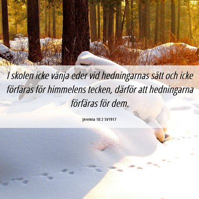 Picture 06 - Jeremia 10:2 SV1917 - I skolen icke vänja eder vid hedningarnas sätt - Bible Verse Picture