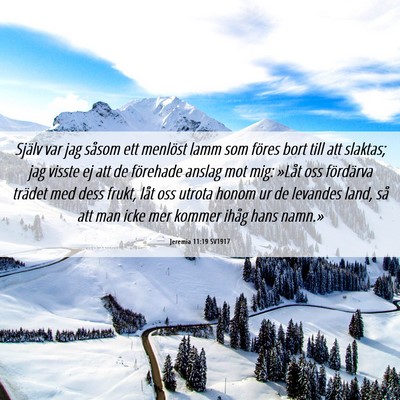Picture 06 - Jeremia 11:19 SV1917 - Själv var jag såsom ett menlöst lamm som - Bible Verse Picture