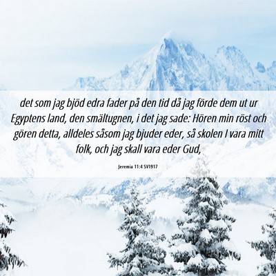 Picture 06 - Jeremia 11:4 SV1917 - det som jag bjöd edra fader på den tid då jag - Bible Verse Picture
