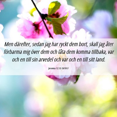 Picture 06 - Jeremia 12:15 SV1917 - Men därefter, sedan jag har ryckt dem bort, - Bible Verse Picture
