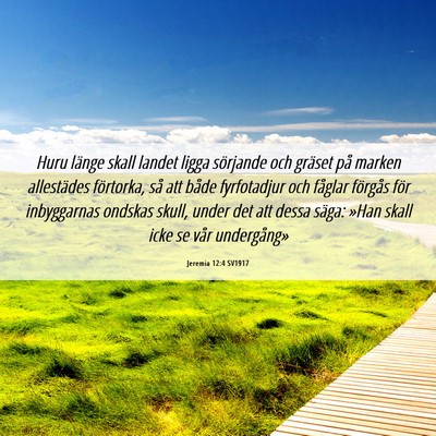 Picture 06 - Jeremia 12:4 SV1917 - Huru länge skall landet ligga sörjande och - Bible Verse Picture
