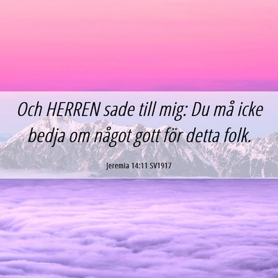 Picture 06 - Jeremia 14:11 SV1917 - Och HERREN sade till mig: Du må icke bedja om - Bible Verse Picture