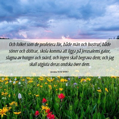 Picture 06 - Jeremia 14:16 SV1917 - Och folket som de profetera för, både män och - Bible Verse Picture