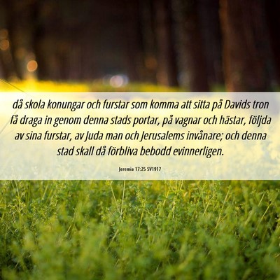 Picture 06 - Jeremia 17:25 SV1917 - då skola konungar och furstar som komma att - Bible Verse Picture