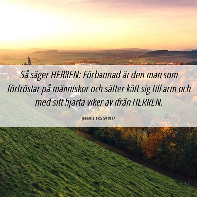 Picture 06 - Jeremia 17:5 SV1917 - Så säger HERREN: Förbannad är den man som - Bible Verse Picture