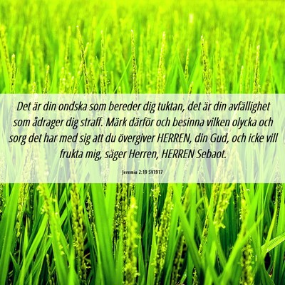 Picture 06 - Jeremia 2:19 SV1917 - Det är din ondska som bereder dig tuktan, det - Bible Verse Picture
