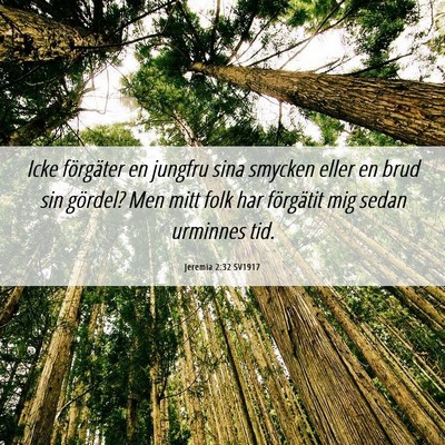 Picture 06 - Jeremia 2:32 SV1917 - Icke förgäter en jungfru sina smycken eller en - Bible Verse Picture