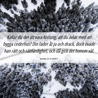 Picture 06 - Jeremia 22:15 SV1917 - Kallar du det att vara konung, att du ävlas med - Bible Verse Picture