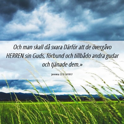 Picture 06 - Jeremia 22:9 SV1917 - Och man skall då svara Därför att de - Bible Verse Picture