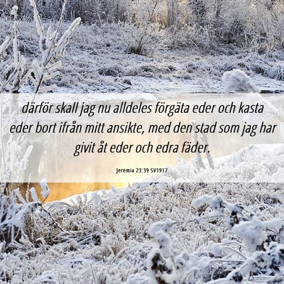 Picture 06 - Jeremia 23:39 SV1917 - därför skall jag nu alldeles förgäta eder och - Bible Verse Picture
