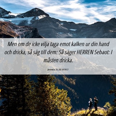 Picture 06 - Jeremia 25:28 SV1917 - Men om de icke vilja taga emot kalken ur din hand - Bible Verse Picture