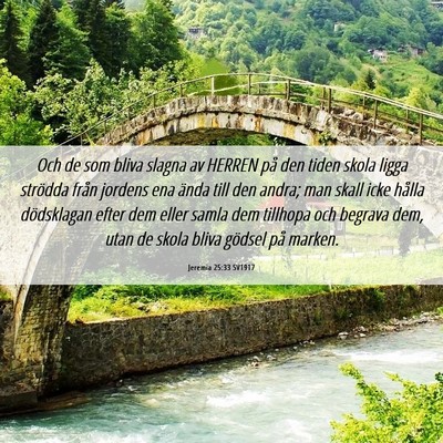Picture 06 - Jeremia 25:33 SV1917 - Och de som bliva slagna av HERREN på den tiden - Bible Verse Picture