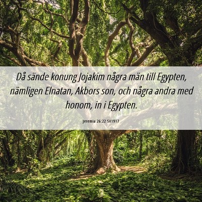 Picture 06 - Jeremia 26:22 SV1917 - Då sände konung Jojakim några män till - Bible Verse Picture