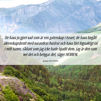Picture 06 - Jeremia 29:23 SV1917 - De hava ju gjort vad som är ens galenskap i - Bible Verse Picture