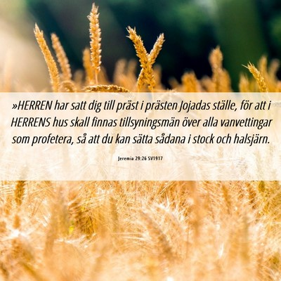 Picture 06 - Jeremia 29:26 SV1917 - »HERREN har satt dig till präst i prästen - Bible Verse Picture