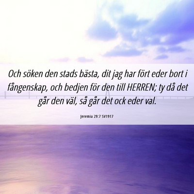 Picture 06 - Jeremia 29:7 SV1917 - Och söken den stads bästa, dit jag har fört - Bible Verse Picture