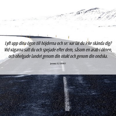 Picture 06 - Jeremia 3:2 SV1917 - Lyft upp dina ögon till höjderna och se: var - Bible Verse Picture