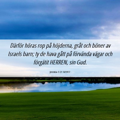 Picture 06 - Jeremia 3:21 SV1917 - Därför höras rop på höjderna, gråt och - Bible Verse Picture