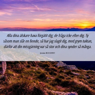 Picture 06 - Jeremia 30:14 SV1917 - Alla dina älskare hava förgätit dig; de fråga - Bible Verse Picture