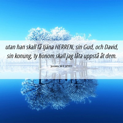 Picture 06 - Jeremia 30:9 SV1917 - utan han skall få tjäna HERREN, sin Gud, och - Bible Verse Picture